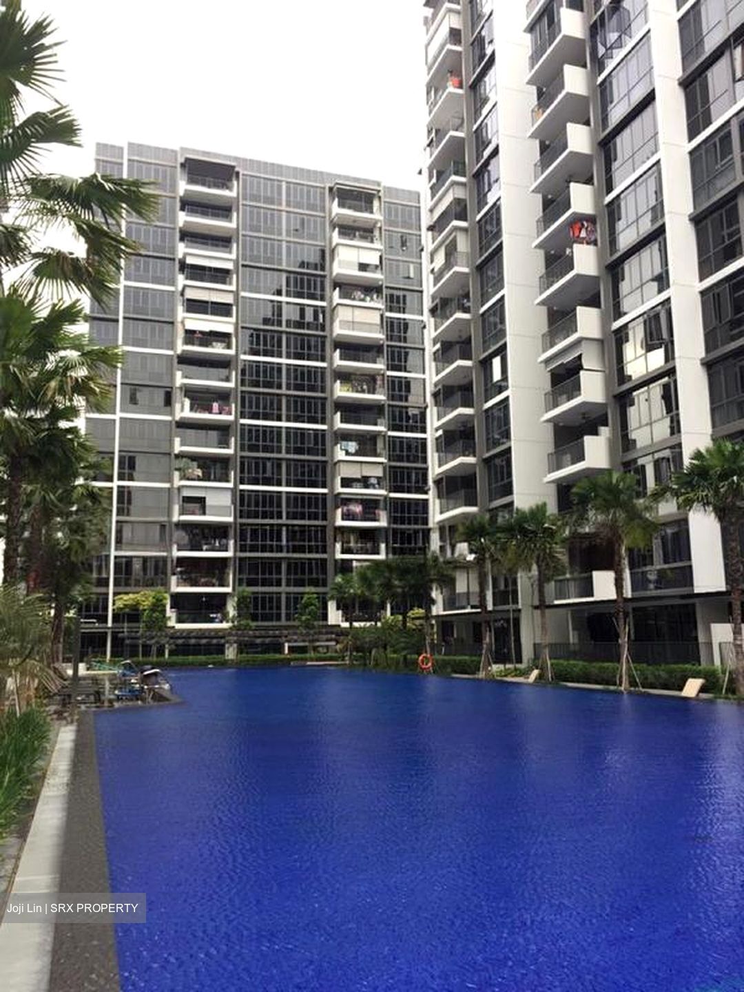 La Fiesta (D19), Condominium #503182271